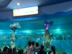-苏州海洋馆