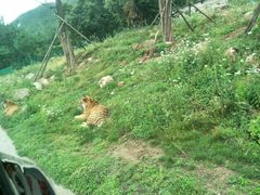 -西安秦岭野生动物园