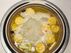 -土连锅·现熬养生汤锅(梁家巷店)