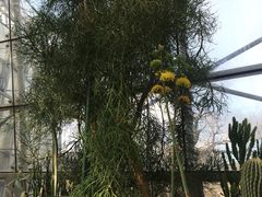 -北京植物园-展览温室