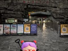 -合肥野生动物园