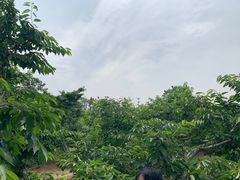 -樱桃沟景区