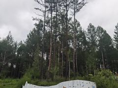 -莫尔道嘎国家森林公园