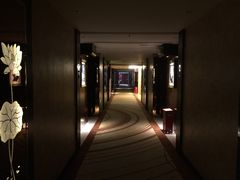 -深圳福青龙华天假日酒店