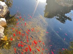 -东山雕花楼