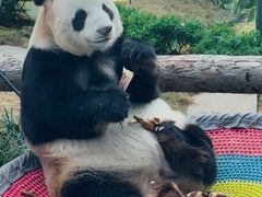 -大连森林动物园