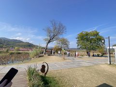-径山花海