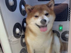 -FAELING PETS美天灵宠物(富力广场店)