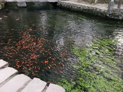 -水磨沟公园