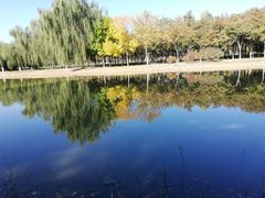 -大兴滨河森林公园