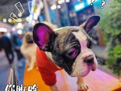 -老外街