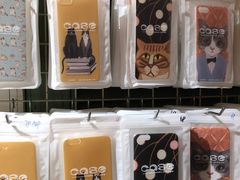 -猫咪博物馆(顶澳仔猫街店)