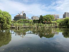 -长兴太湖图影湿地文化园