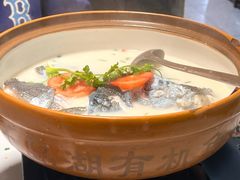 -全乐鱼馆·淳牌有机鱼直营店