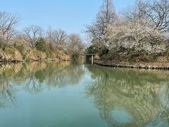 -西溪国家湿地公园