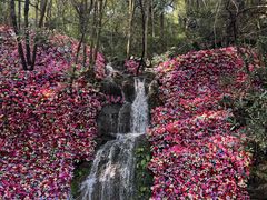 -灵栖洞天