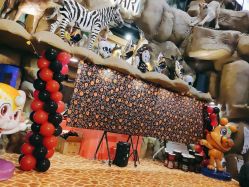 -卡通尼·Safari非洲探索乐园·生日会(金桥国际商业广场店)