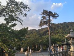 -有栖山 清光院 清水寺
