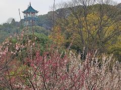 -无锡梅园公园