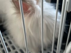 -小意思咖啡店(草桥店)