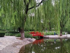 -玲珑塔公园