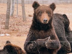 -秦皇岛野生动物园