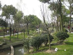 -陈家山荷花公园