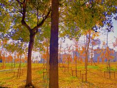 -银泰百货(舟山临城店)