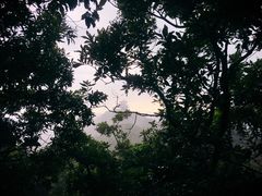 -杭州半山国家森林公园