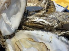 至尊桑拿蚝-天宝食坊·啫啫煲大排档(西华路店)