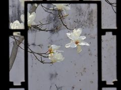 -耦园