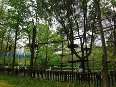 -WeLope紫金山探险公园