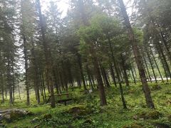 -硗碛藏寨·神木垒景区