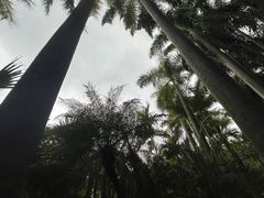 -滴水岩森林公园