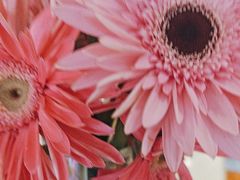 -观盐·盐帮菜(官园桥店)