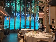 -桂满陇·海市蜃楼·黑金(国金店)