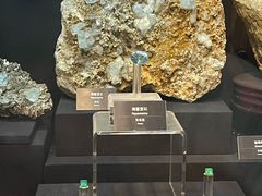 -烟台自然博物馆