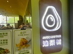 -油梨树AVOCADO TREE(望京店)