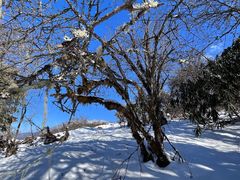 -太子岭滑雪场