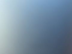 -巢爷老味(东方红店)