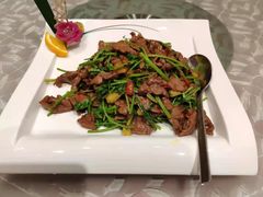 -桃源春晓中餐厅 TaoYuan Restaurant