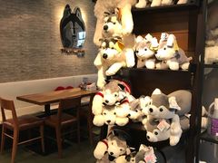 -TrueLove @ Neverland (Husky Cafe)