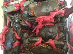 -传统香辣蟹(南园路店)