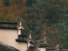 -塔川景区