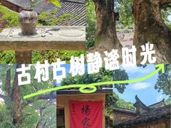 -杨家堂村