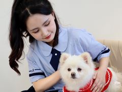 -怪兽屋·羊驼·猫咖·狗咖(俊华广场店)