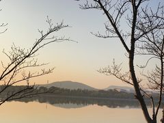 -羊山湖公园