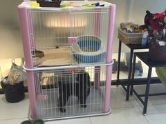 -Oh My Dog宠物沙龙(伊珊娜皮毛护理店)