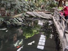 -南宫五洲植物乐园