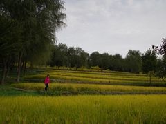 -北坞公园